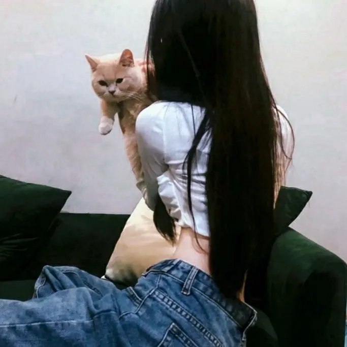 江城谜案